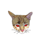 little cat mayn version sticker（個別スタンプ：6）
