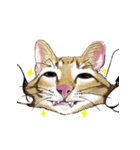 little cat mayn version sticker（個別スタンプ：10）