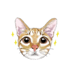 little cat mayn version sticker（個別スタンプ：12）