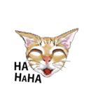 little cat mayn version sticker（個別スタンプ：13）