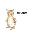 little cat mayn version sticker（個別スタンプ：16）