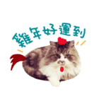 La-cha-hua - Happy Lunar New Year ！（個別スタンプ：2）