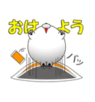 ねこ味のしらたま（個別スタンプ：1）