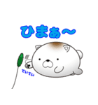 ねこ味のしらたま（個別スタンプ：4）