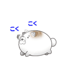 ねこ味のしらたま（個別スタンプ：9）