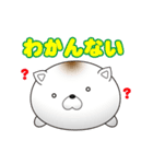 ねこ味のしらたま（個別スタンプ：11）