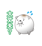 ねこ味のしらたま（個別スタンプ：13）