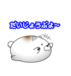ねこ味のしらたま（個別スタンプ：14）