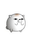ねこ味のしらたま（個別スタンプ：17）