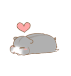 Cola THE HAMSTER（個別スタンプ：13）