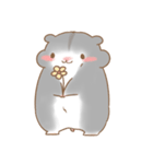 Cola THE HAMSTER（個別スタンプ：15）