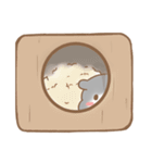 Cola THE HAMSTER（個別スタンプ：17）