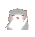 Cola THE HAMSTER（個別スタンプ：19）