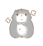 Cola THE HAMSTER（個別スタンプ：20）