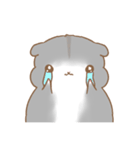 Cola THE HAMSTER（個別スタンプ：21）