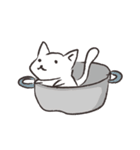 ぽてぱた白猫（個別スタンプ：16）