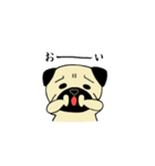 パグってカワイイ（個別スタンプ：1）