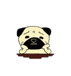 パグってカワイイ（個別スタンプ：17）
