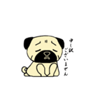 パグってカワイイ（個別スタンプ：19）