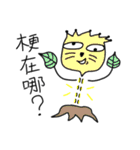 How a good cat（個別スタンプ：19）