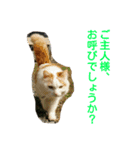 ライニャー（個別スタンプ：2）