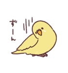 たくさんインコたち（個別スタンプ：8）