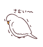 たくさんインコたち（個別スタンプ：11）