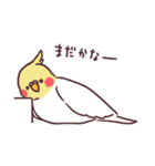 たくさんインコたち（個別スタンプ：13）