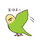 たくさんインコたち（個別スタンプ：25）