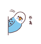 たくさんインコたち（個別スタンプ：26）