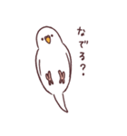 たくさんインコたち（個別スタンプ：31）