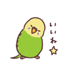 たくさんインコたち（個別スタンプ：32）