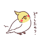 たくさんインコたち（個別スタンプ：34）