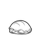 Delightful Tortoise（個別スタンプ：7）