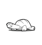 Delightful Tortoise（個別スタンプ：15）