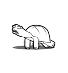 Delightful Tortoise（個別スタンプ：16）