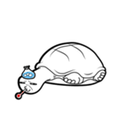 Delightful Tortoise（個別スタンプ：23）