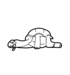 Delightful Tortoise（個別スタンプ：37）