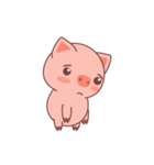 Cute litte pig ！（個別スタンプ：9）