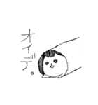 クロイネコ（個別スタンプ：5）