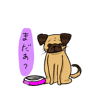 パグのあずきちゃん（個別スタンプ：5）
