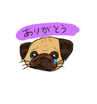 パグのあずきちゃん（個別スタンプ：7）
