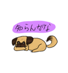 パグのあずきちゃん（個別スタンプ：9）