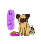 パグのあずきちゃん（個別スタンプ：11）