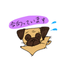 パグのあずきちゃん（個別スタンプ：13）