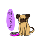 パグのあずきちゃん（個別スタンプ：14）