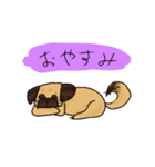 パグのあずきちゃん（個別スタンプ：19）
