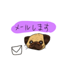 パグのあずきちゃん（個別スタンプ：20）