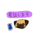 パグのあずきちゃん（個別スタンプ：21）
