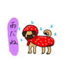 パグのあずきちゃん（個別スタンプ：22）